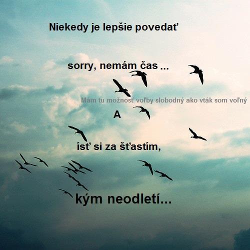  Sorry nemám časw 