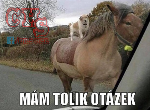  Otázky 