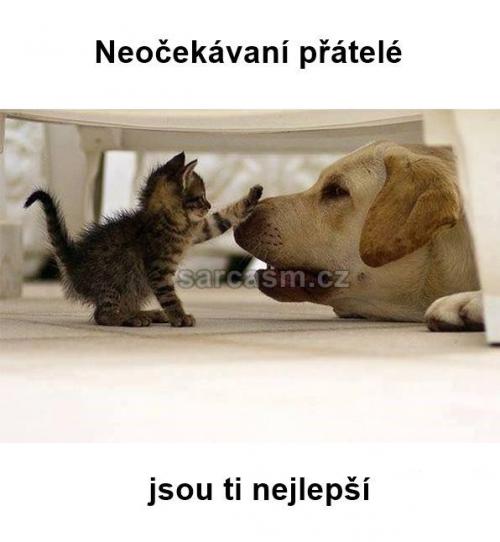  Přátelé, které nečekáme 