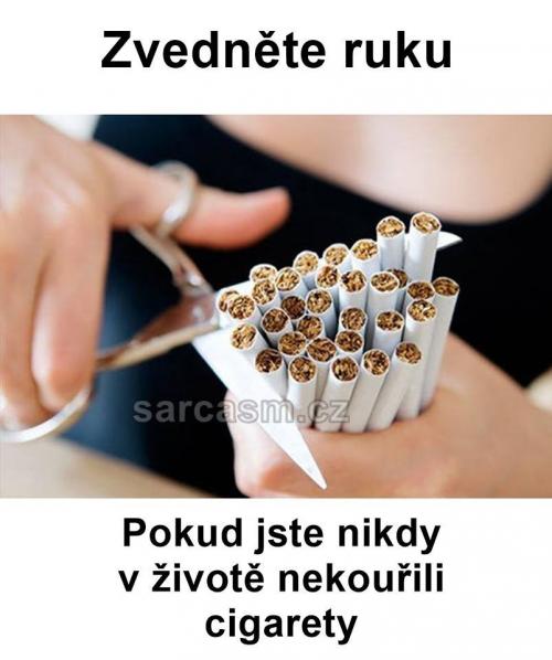  Nikdy nekouřil cigaretu 