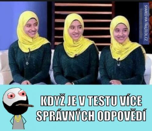  Odpověď 