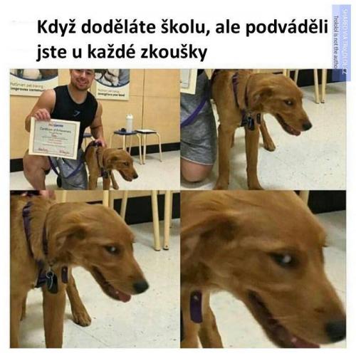 Podváděl