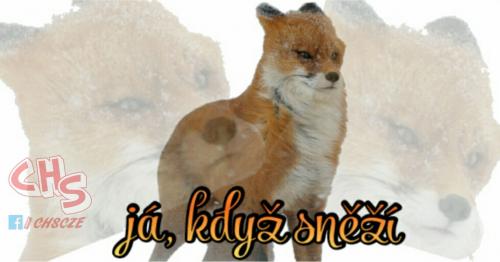 Když sněžá