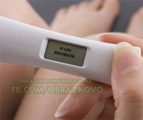  Těhotenský test 
