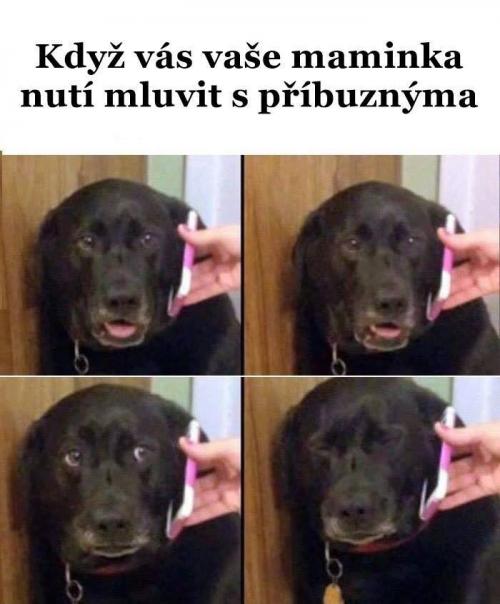  Mluvení s příbuznými 