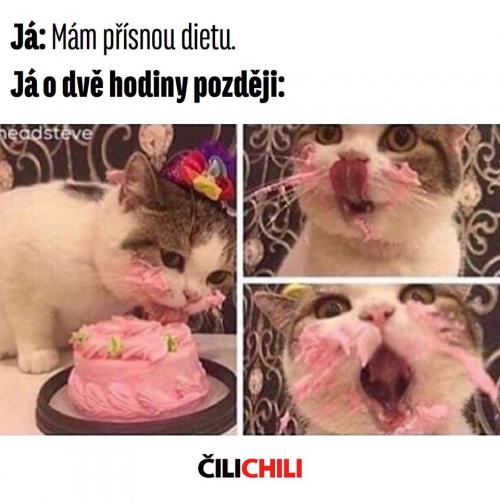  Přísná dieta 