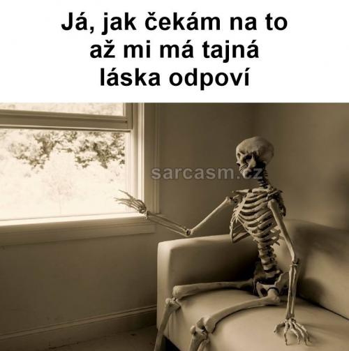  Láska odpoví 