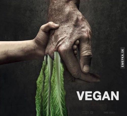  Vegan 