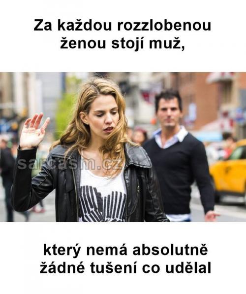  Rozzlobená žena 