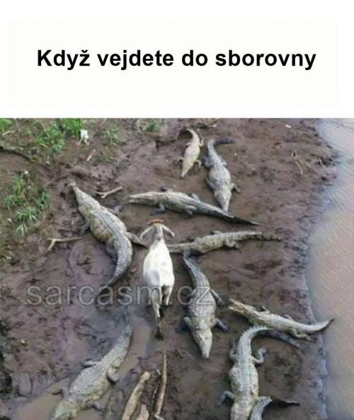 Ve sborovně