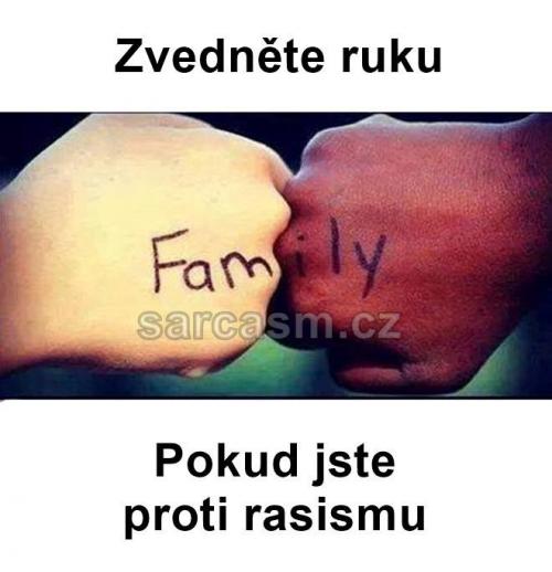  Proti rasismu 