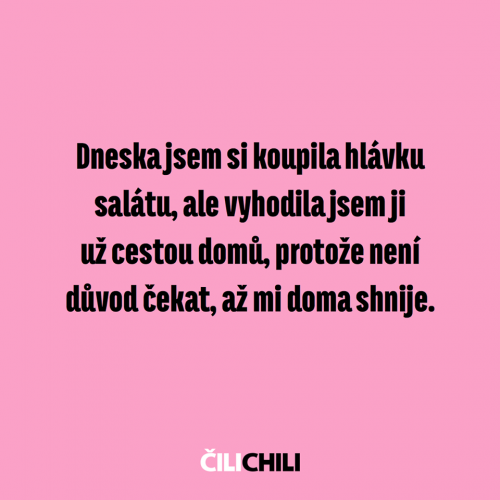 Hlávka salátu
