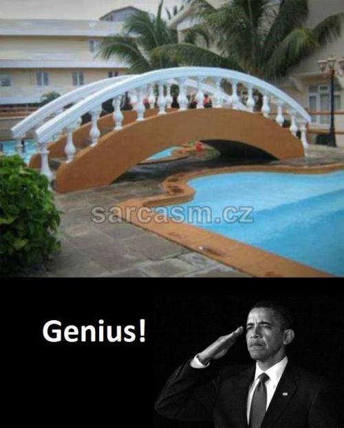  Genius 