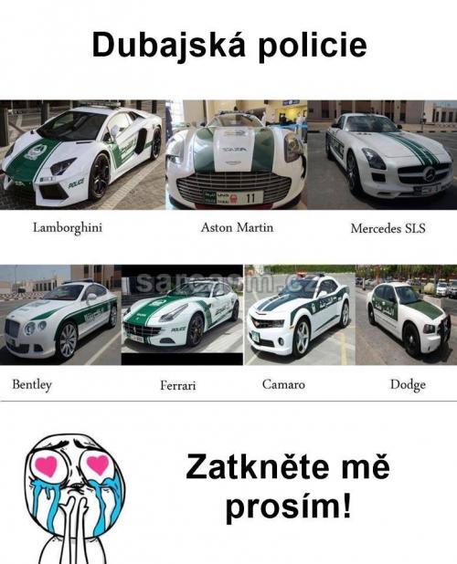  Dubajská policie 