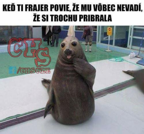 Přibrala