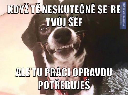 Práce