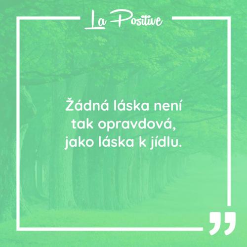  Žádná láska 