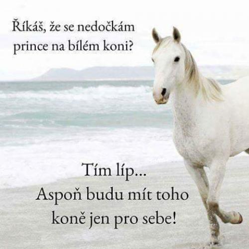  Princ na koni 