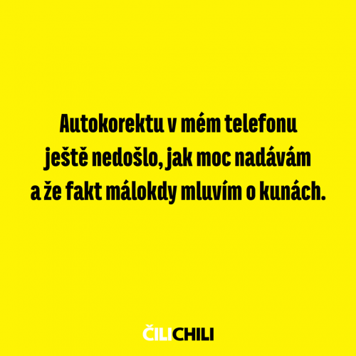 Autokorektu