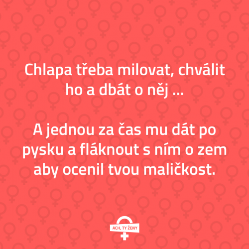  Chlapa třeba milovat 