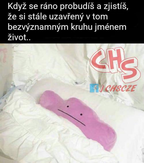  Život 