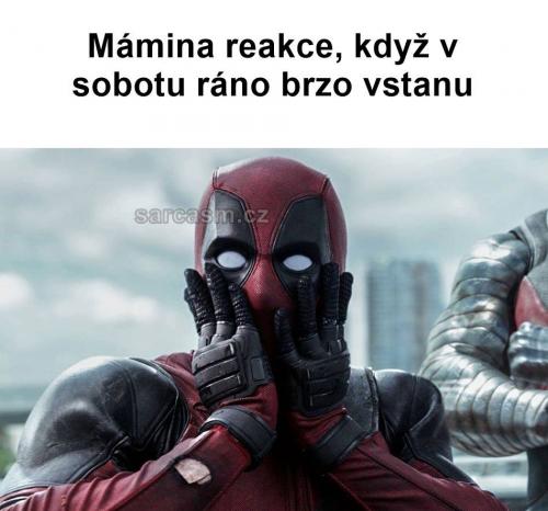  Brzké vstávání 