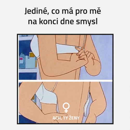  Má to smysl 