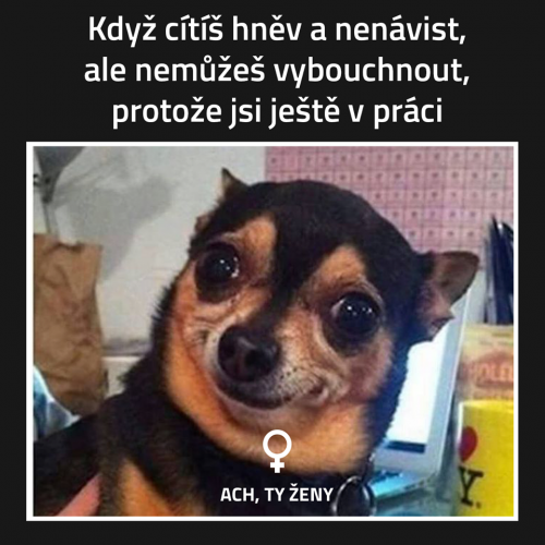  Většinou to bývá kvůli té práci 