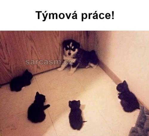  Týmová práce 