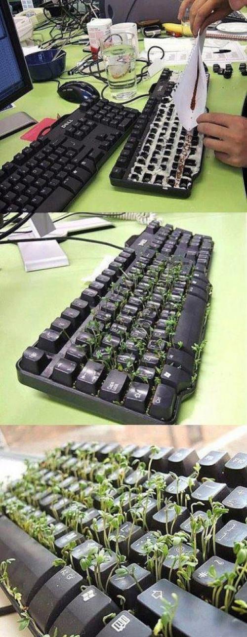  Zelená klávesnice 