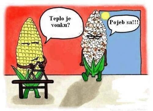  Pop-corn 