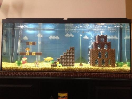  Mario akvárium 