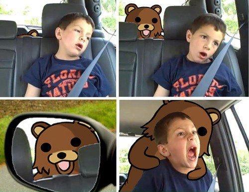  Teddy Bear 