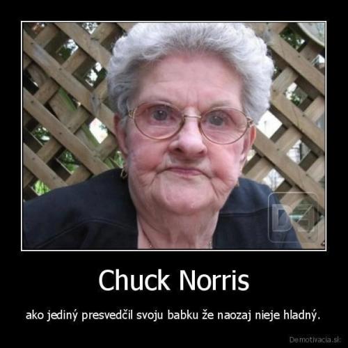 Jedině Chuck Norris