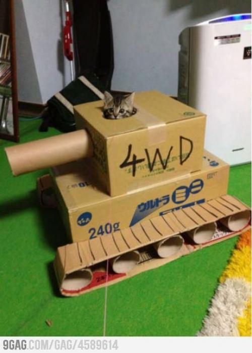 Tank pro kočku