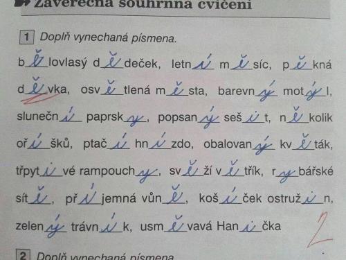 Test z Češtiny