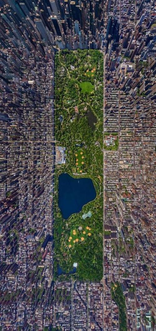  New York Park 
