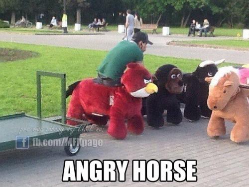  Angry Horse 