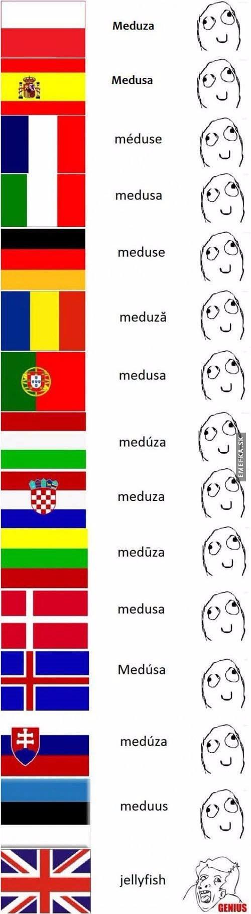  Jazykové rozdíly 