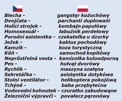  Česko - polský slovník 