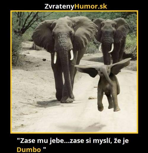  Dumbo:D 
