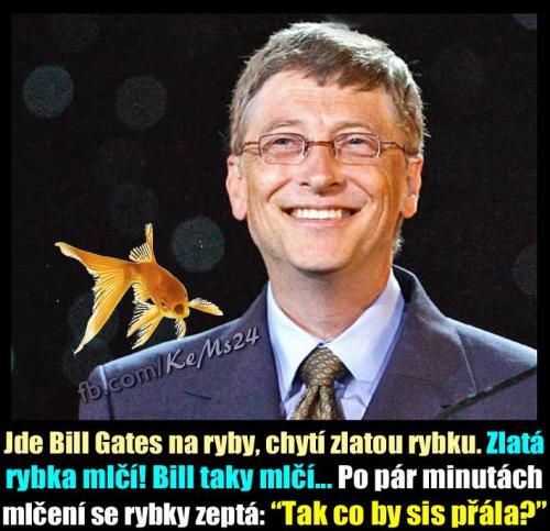  Bill Gates na rybách 