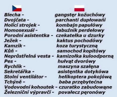  Polština a Čeština 