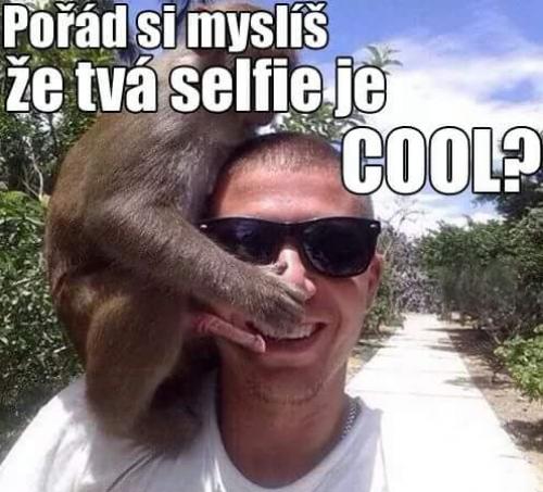  Cool selfie 