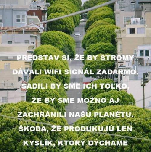  Wifi zdarma 