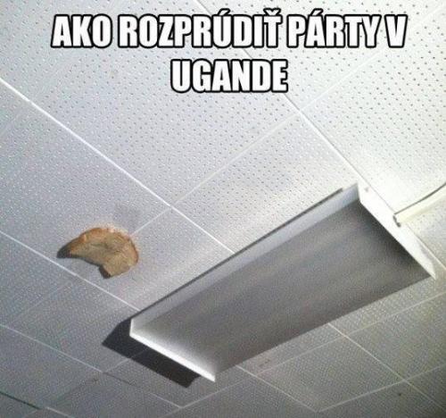  Jak rozjet párty 