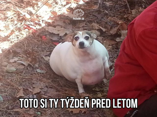  Týden před létem 