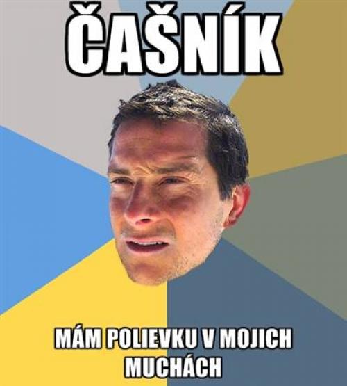 Čašník