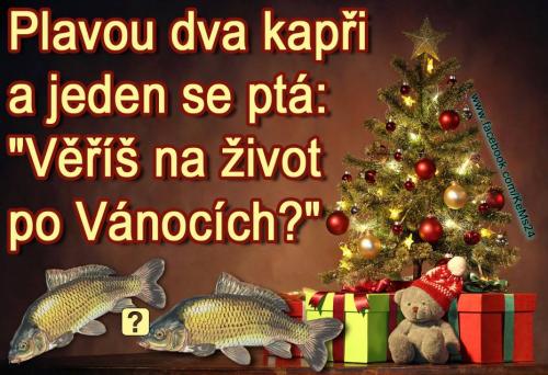 Kapři