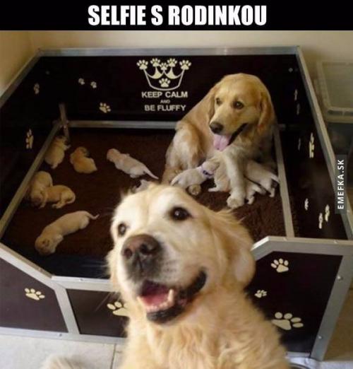  Selfie s rodinou 